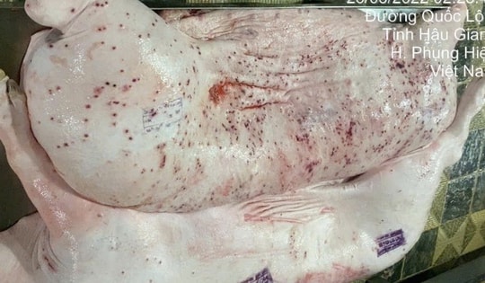 Vụ Công ty C.P Việt Nam bị tố: Làm rõ 'động cơ phát tán hình ảnh'