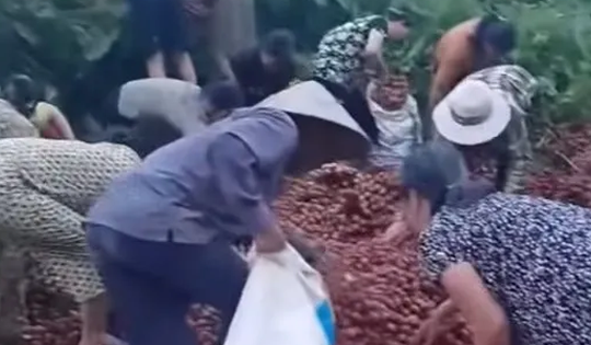 Vụ ô tô chở vải bị lật: Chủ xe nhận được khoảng hơn 40 triệu đồng giúp đỡ từ cộng đồng