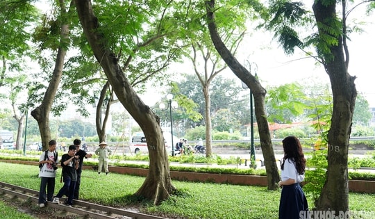 Công viên Thống Nhất 'biến hình' sau khi hạ rào