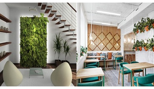 Bí quyết dễ làm và hiệu quả, thực hiện trong ngày Rằm để nhà bạn luôn có năng lượng sạch, không khí trong lành