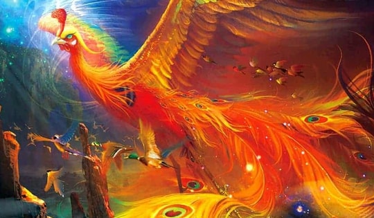 Đây mới là cách treo tranh phượng hoàng trong nhà để bảo vệ tài lộc
