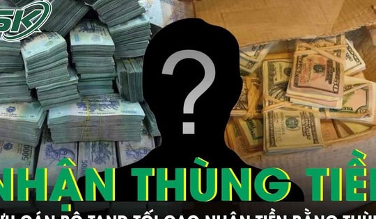Cựu cán bộ TAND Tối cao nhận 2 thùng tiền để giải quyết công việc nhưng không thành