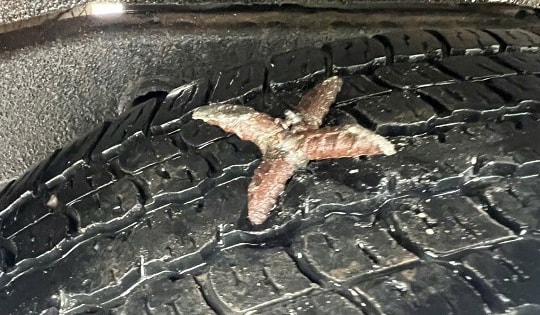 Hà Nội: Chông 5 ngạnh tự chế ‘bẫy’ ô tô ở khu chung cư Tecco