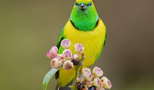 Số cuối ngày sinh Âm lịch của người có hậu vận sung túc khó ai sánh kịp