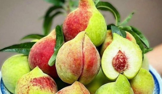 Đào mỏ quạ vào mùa giá siêu rẻ, cách đơn giản để chị em rủ nhau ‘săn’ hàng ngon, tránh hàng Trung Quốc