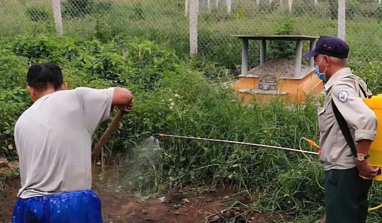 Huế siết chặt giám sát lò mổ sau khi ghi nhận nhiều ca mắc liên cầu lợn