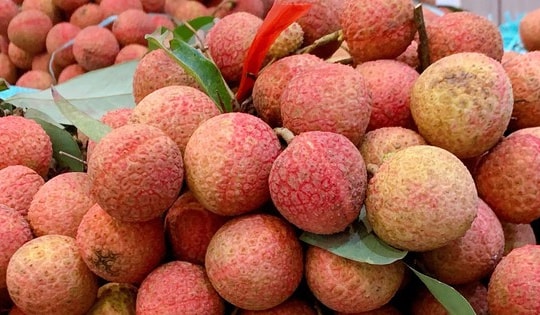 Vải thiều vào cuối vụ giá bán siêu rẻ, chị em truyền nhau bí quyết bảo quản quả vải tươi cả tháng