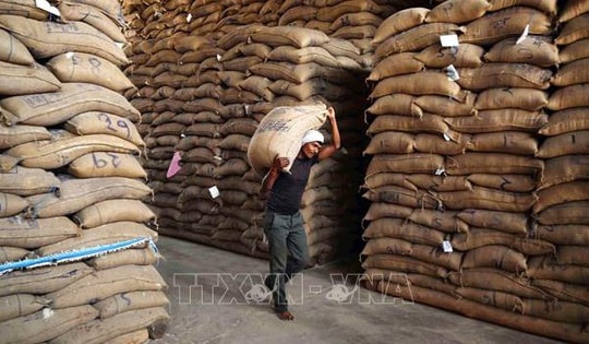 Gạo châu Á chững giá