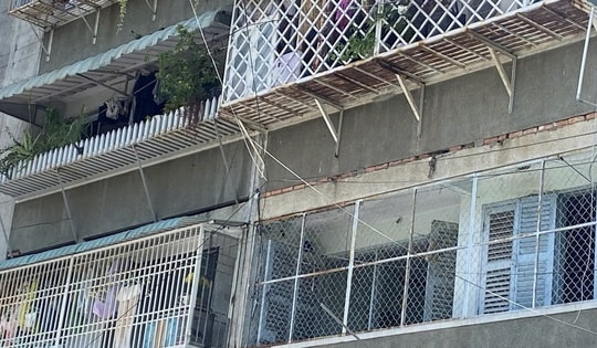 TPHCM: Xử lý dứt điểm 'chuồng cọp', đình chỉ, xử lý nghiêm nếu vi phạm