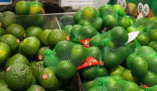 Loại quả ‘quốc dân’ giàu vitamin C bán đầy chợ Việt, giá chỉ hơn chục nghìn đồng/kg