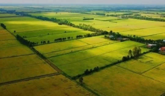 Đất nông nghiệp hết hạn có bị Nhà nước thu hồi không?