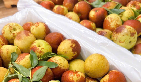 Chợ Việt ‘ngập’ hoa quả Trung Quốc, 6 tháng chi hơn 400 triệu USD nhập về bán