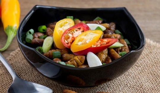 Món nhộng tằm rất ngon nhưng mẹ dặn tôi phải biết một điều, kẻo một lần ăn sai cả đời sợ hãi