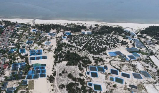 Để nghề nuôi cá lóc trên cát không 'đánh đổi môi trường lấy kinh tế'