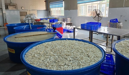 Thanh Hoá phát hiện hơn 13 tấn chân gà ngâm hóa chất tẩy trắng