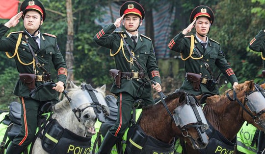 Ngắm dàn chiến mã tinh nhuệ tập luyện cho lễ diễu binh 2/9