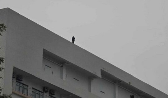 Gần 3 giờ 'nghẹt thở' giải cứu cháu gái có ý định tự tử tại Bệnh viện Bạch Mai