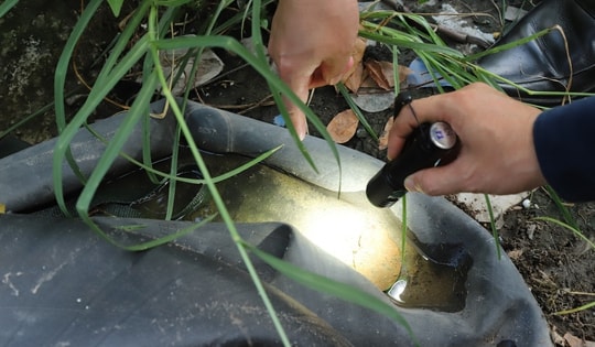 Viện trưởng Viện Pasteur TPHCM: 'Không thể xem nhẹ sốt xuất huyết'