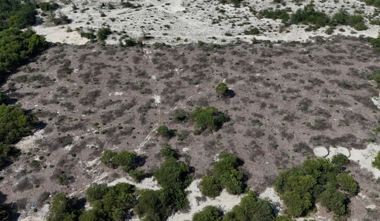 Vụ rừng phòng hộ ven biển bị chặt hạ ở Huế: UBND xã có thẩm quyền tự bán thanh lý?