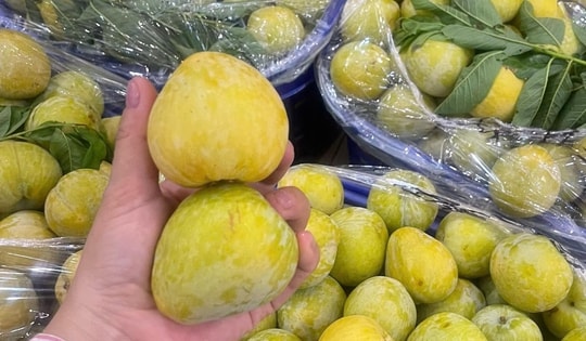 Một loại mận của Trung Quốc có giá vài trăm nghìn đồng/kg đổ bộ thị trường quả Việt được chị em săn đón