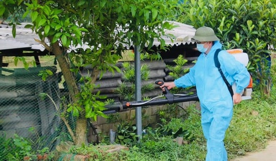 Bé trai 9 tuổi ở Quảng Ninh được phát hiện mắc viêm não Nhật Bản B từ triệu chứng đau đầu