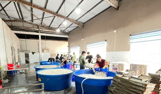 Cận cảnh kho đông lạnh chứa hơn 13 tấn chân gà ngâm hóa chất tẩy trắng