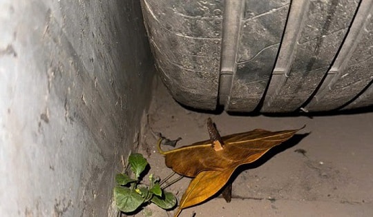 Hà Nội: Công an xã Thanh Trì phản hồi về tình trạng chông 5 ngạnh tự chế ‘bẫy’ ô tô tại khu chung cư Tecco