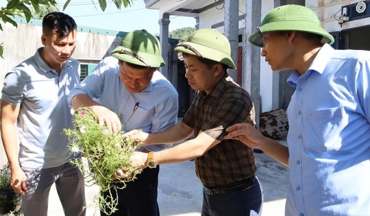 Hà Tĩnh xuất hiện ổ dịch sốt xuất huyết đầu tiên trong năm