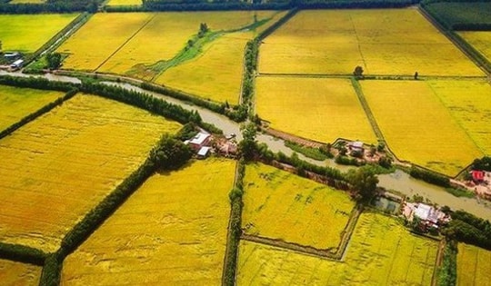 Các trường hợp đất nông nghiệp không được cấp sổ đỏ mới nhất