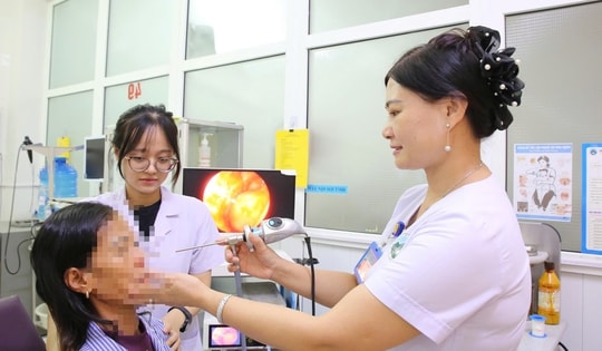 Rùng mình phát hiện ổ giòi 7 con làm tổ trong mũi bệnh nhân