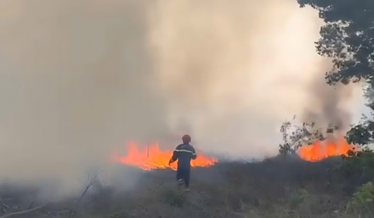 Hàng trăm người khống chế cháy rừng keo ở Huế