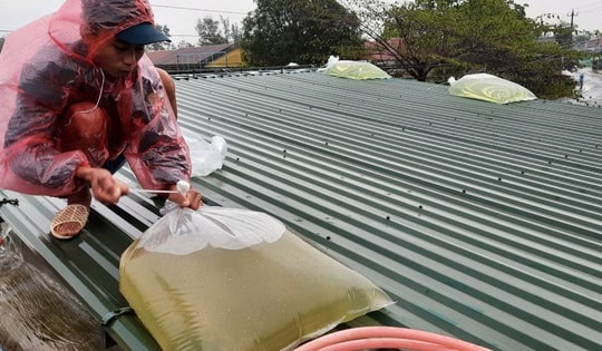 Bão số 3 tăng cấp chóng mặt chỉ trong vòng 3 tiếng, người dân phải làm gì để an toàn?