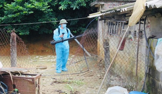 Hai ca mắc viêm não Nhật Bản B ở Quảng Ninh đều có triệu chứng sốt, đau đầu