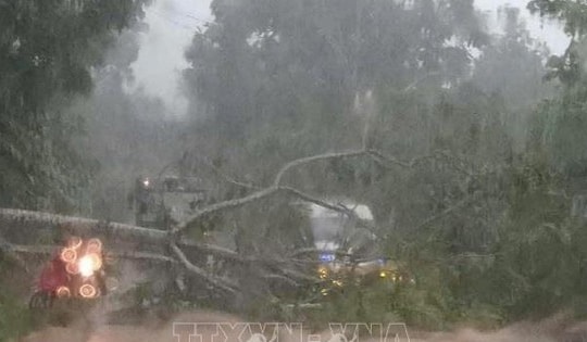 Nhiều cây xanh, công trình dân dụng bị hư hại do bão số 3