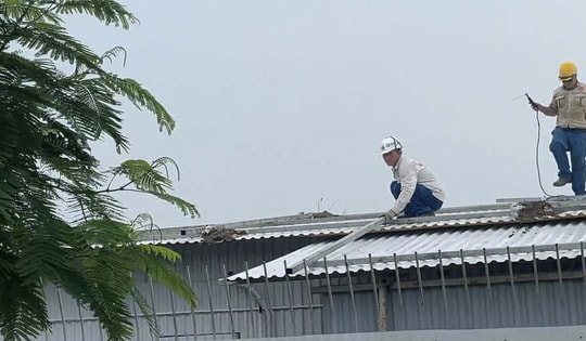 Hải Phòng chỉ đạo khẩn ứng phó bão số 3, đảm bảo an toàn cho du khách