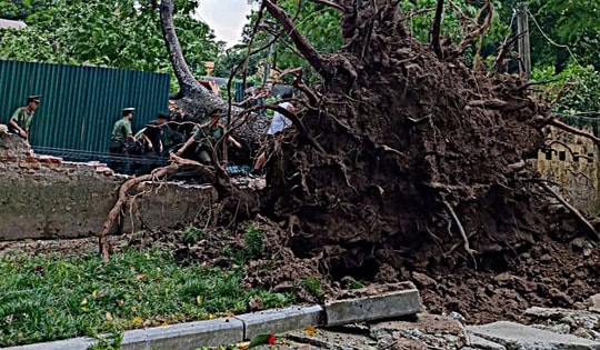 Hà Nội khẩn trương thu dọn hơn 940 cây đổ, cành gãy sau trận dông lớn