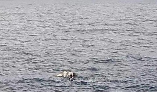 Quảng Trị: Cứu nạn thành công 7 thuyền viên bị nạn trên biển