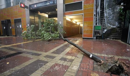 Bão Wipha 'càn quét' Trung Quốc: Giao thông tê liệt, kinh tế thiệt hại nặng