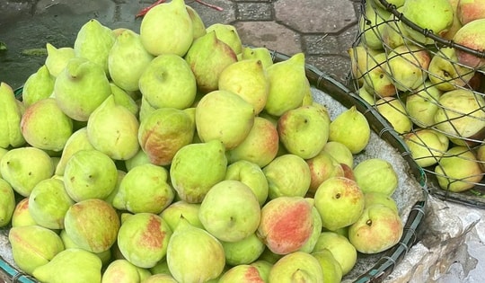 Tiểu thương tiết lộ sự thật về đào mỏ quạ đang được bán ngoài chợ