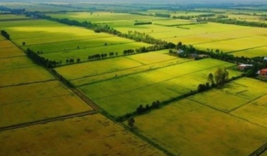 Đất nông nghiệp hết hạn có được thế chấp hay không?