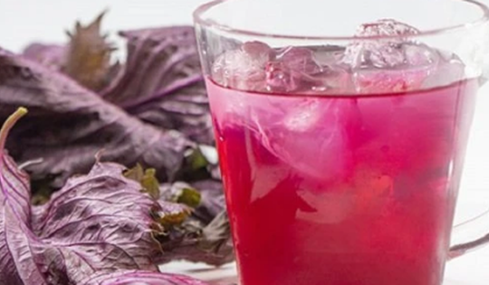 Uống nước lá tía tô có giảm cân không?