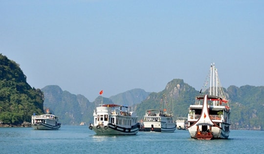 Tin mới về bão WIPHA: Quảng Ninh tạm dừng cấp phép rời cảng đối với tàu khách