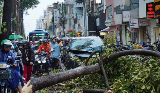 TPHCM khẩn cấp ứng phó bão số 3, yêu cầu trực 24/24
