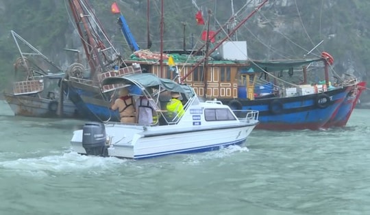 Bão số 3 cách Quảng Ninh 190km, hàng nghìn cán bộ, chiến sĩ tham gia ứng trực chống bão