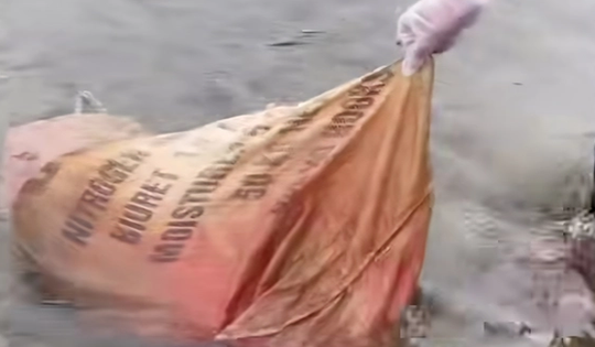 Quảng Trị ngăn chặn việc vứt lợn chết ra môi trường giữa mùa dịch