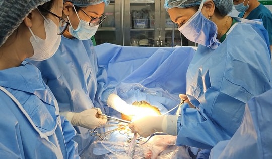 Lên chặt cành cây tránh bão, người đàn ông bị ngã chấn thương đầu