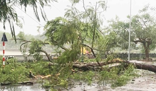 Chuyên gia cảnh báo mưa dông dài ngày do hoàn lưu bão số 3