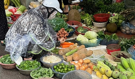 Người dân Hà Nội mua thực phẩm trước bão số 3