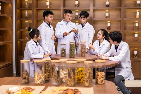 Bác sĩ Y học cổ truyền – Nghề chữa lành không thể bị thay thế trong thời đại trí tuệ nhân tạo