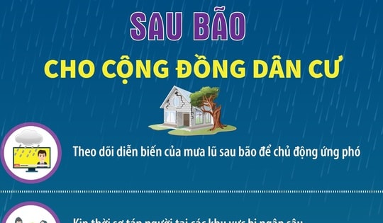 Hướng dẫn kỹ năng an toàn sau bão cho cộng đồng dân cư